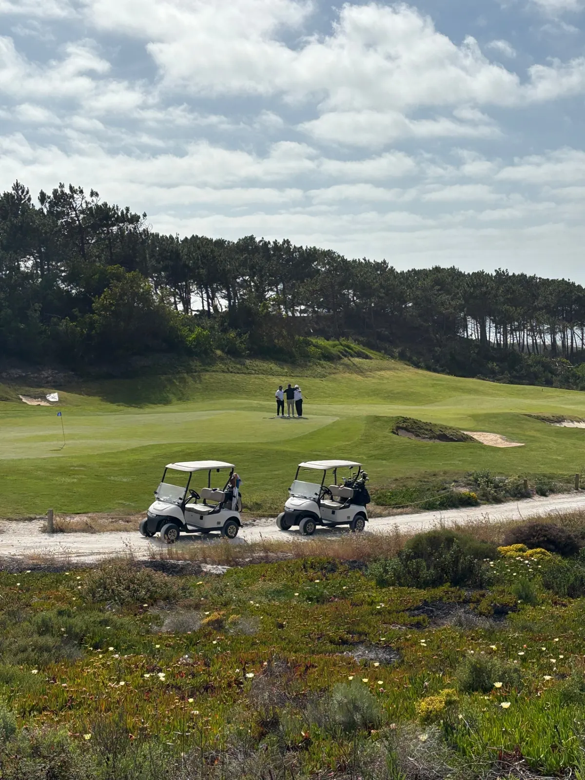 Buggies on a linksland course