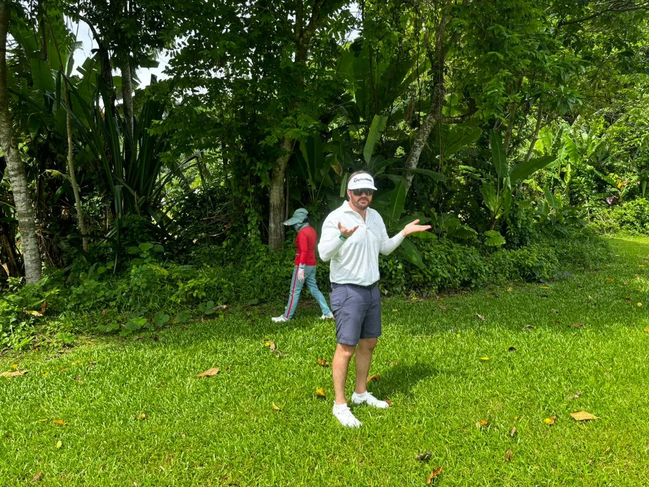 Between the palms in the jungle rough