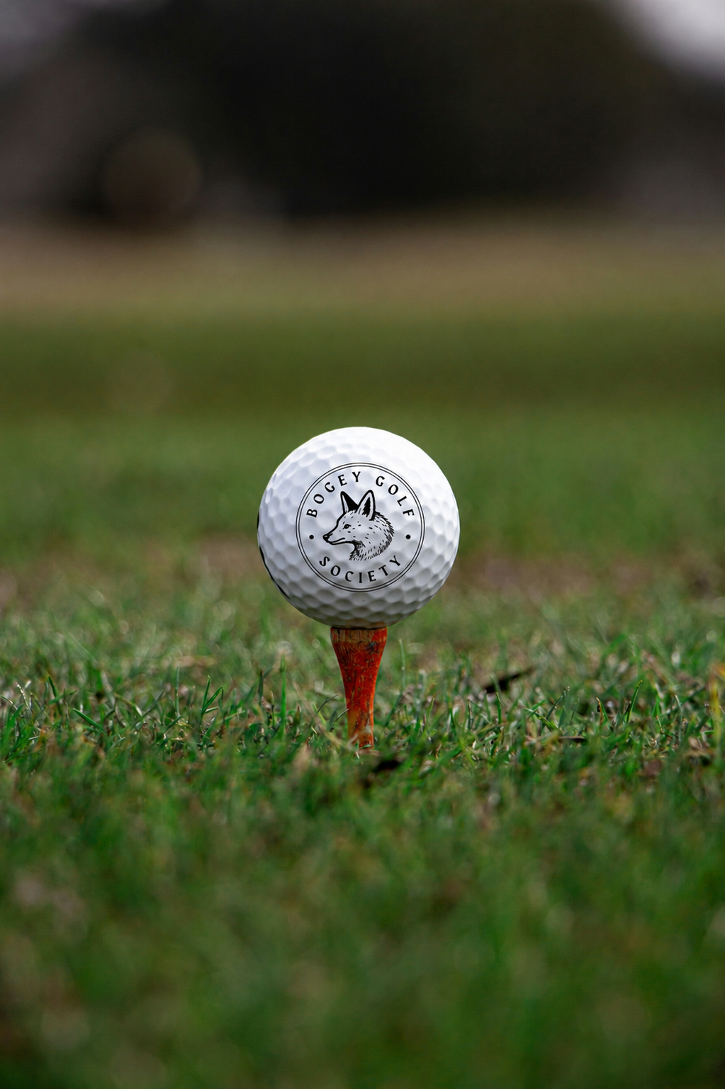 BGS branded golf ball on a tee