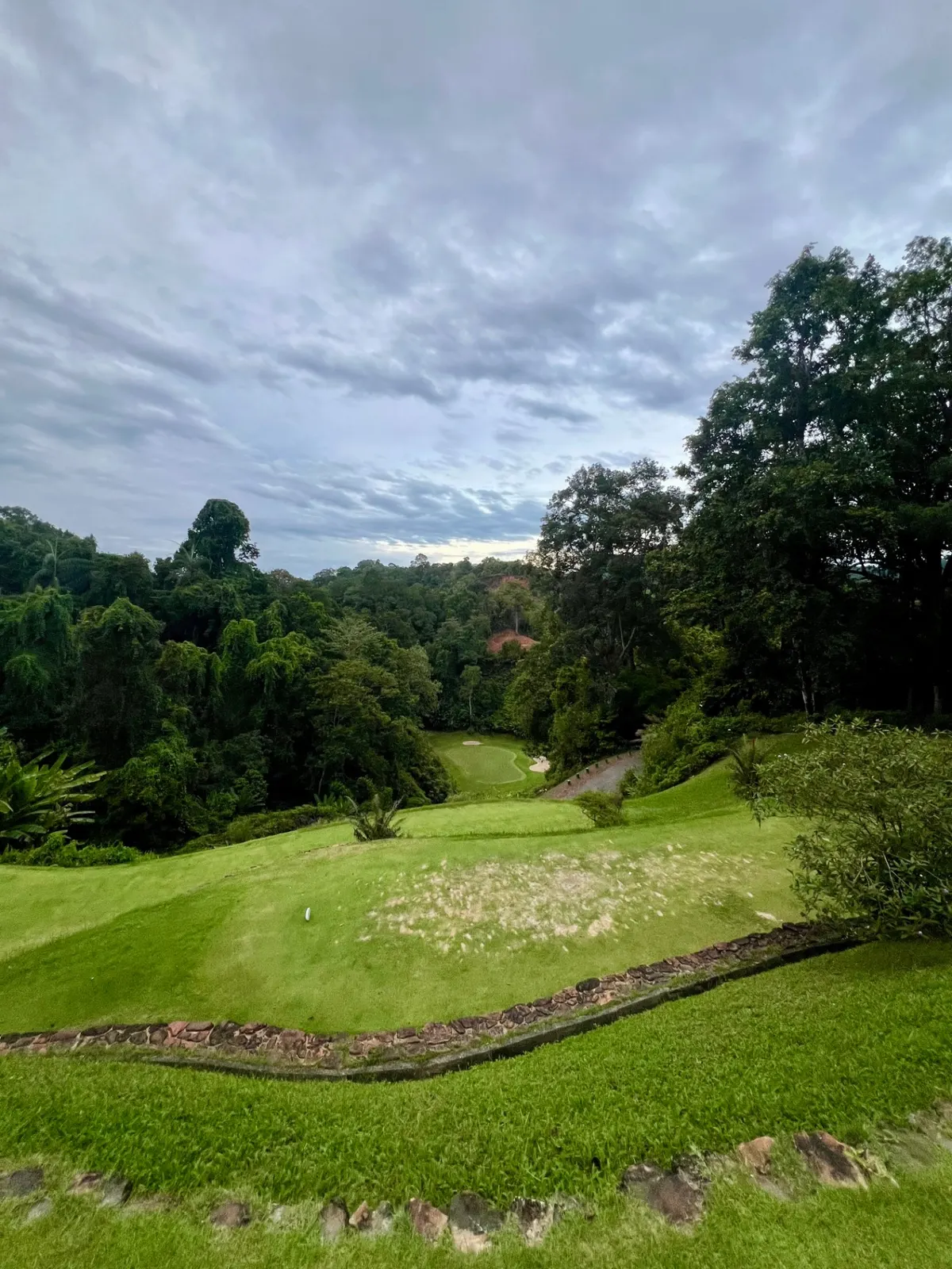 Jungle par-3 tee view